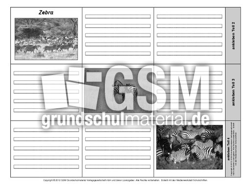 Leporello-Zebra-3-1-2.pdf